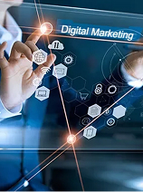Quotient proposal website